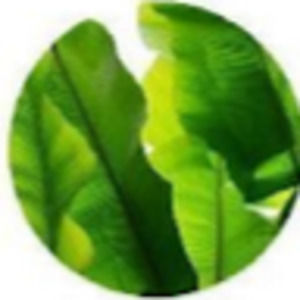 Meet your Posher, Raygan